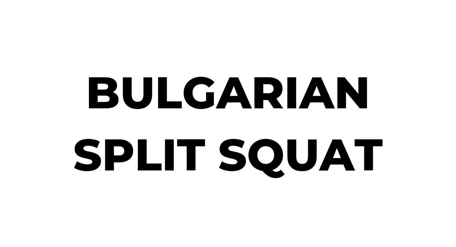 Beginners gym program Bulgarian Split Squat